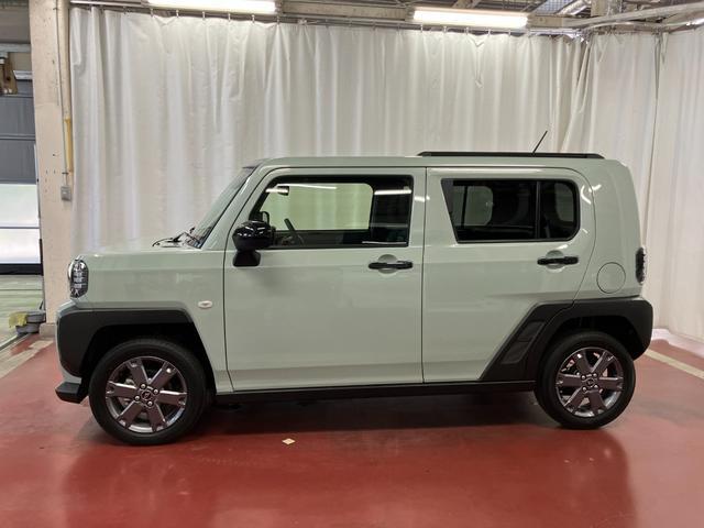 Daihatsu Taft 8