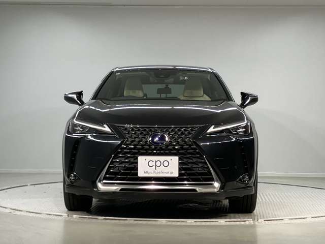 Lexus UX300e 2