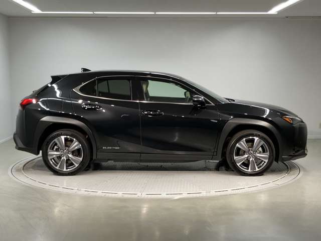 Lexus UX300e 4