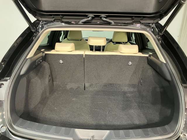 Lexus UX300e 7