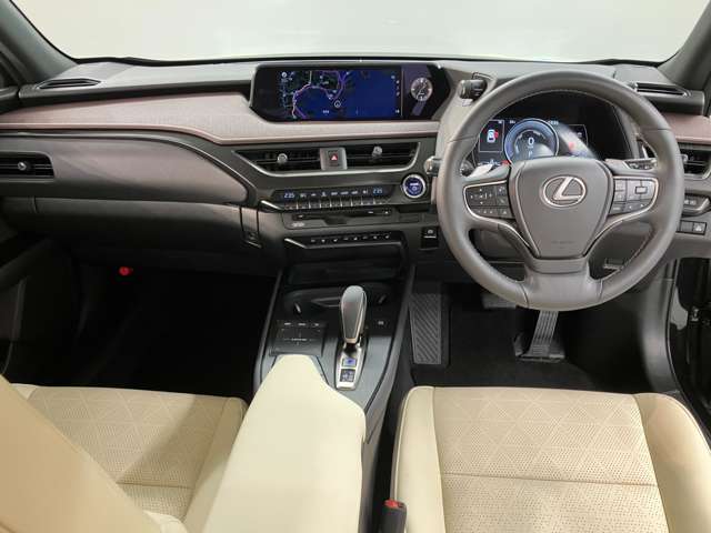 Lexus UX300e 9