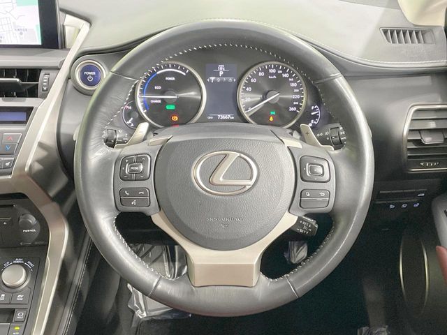 Lexus NX 12
