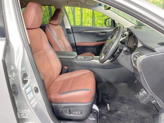 Lexus NX 9