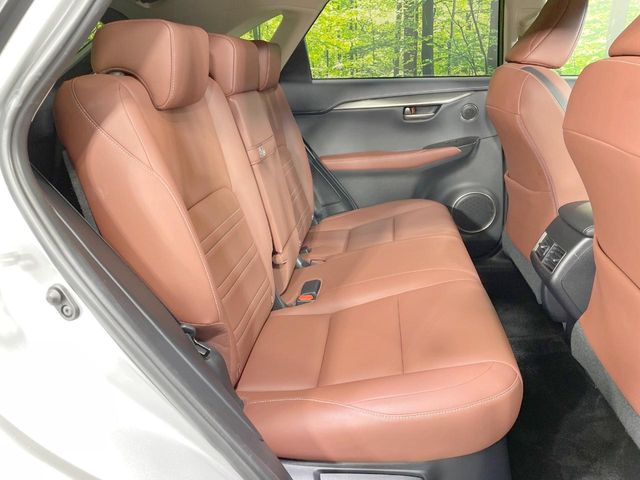 Lexus NX 10