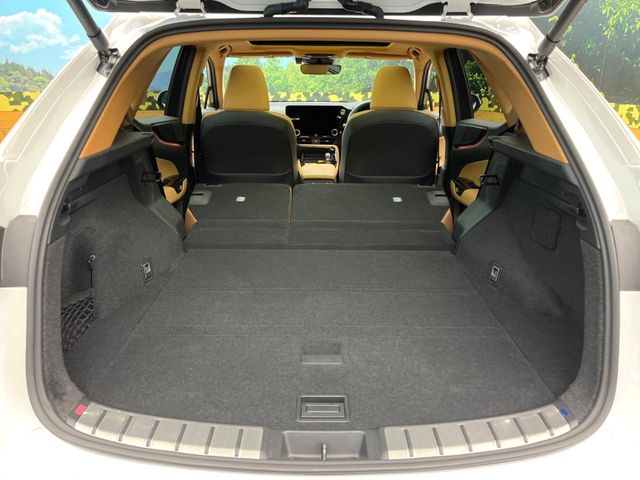 Lexus NX 11