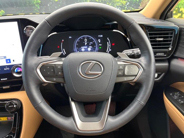 Lexus NX 12