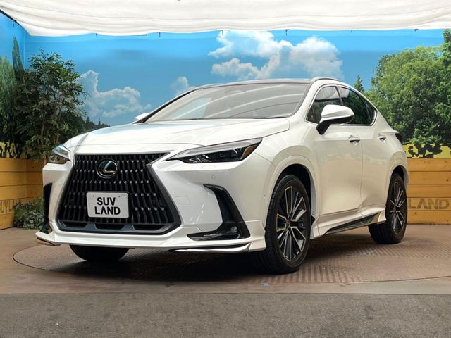 Lexus NX 3