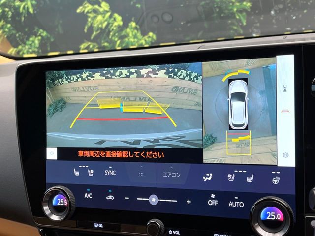 Lexus NX 6