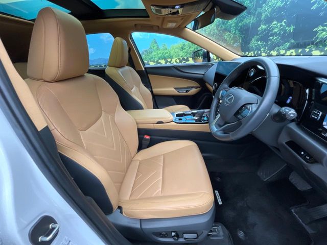 Lexus NX 9