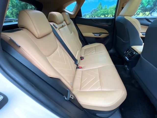 Lexus NX 10