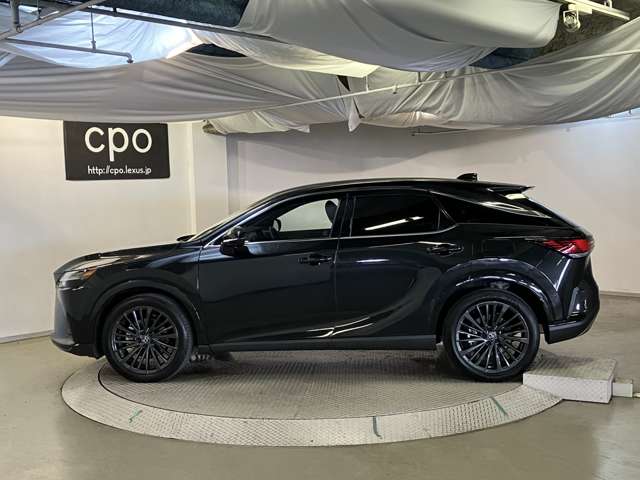 Lexus RX 12