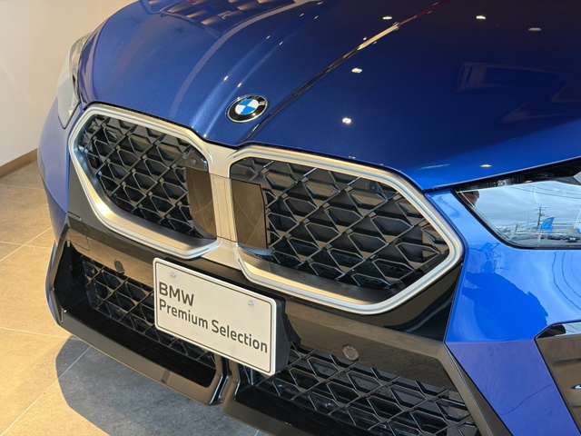 BMW X2 10
