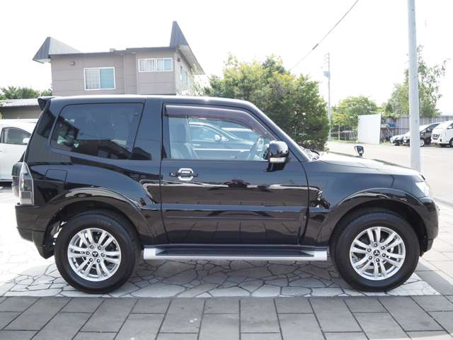 Mitsubishi Pajero 11
