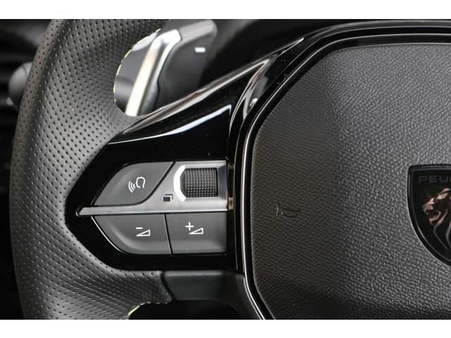 Peugeot SUV 2008 6