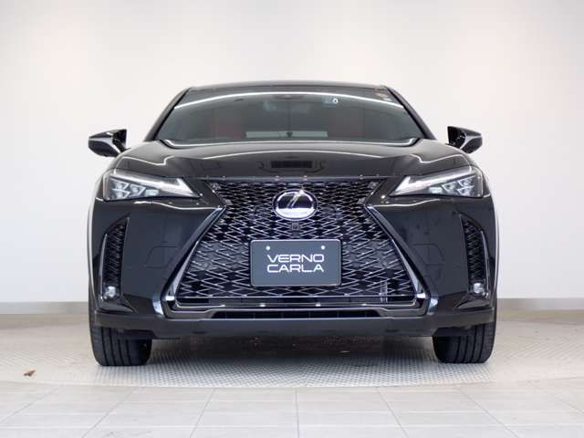 Lexus UX 11