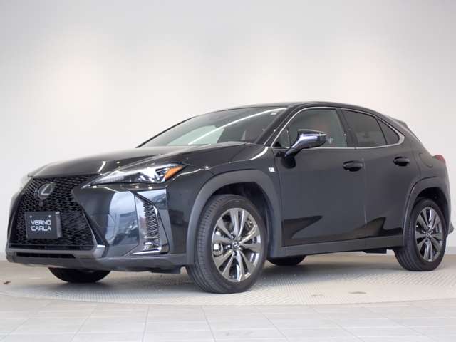 Lexus UX 12