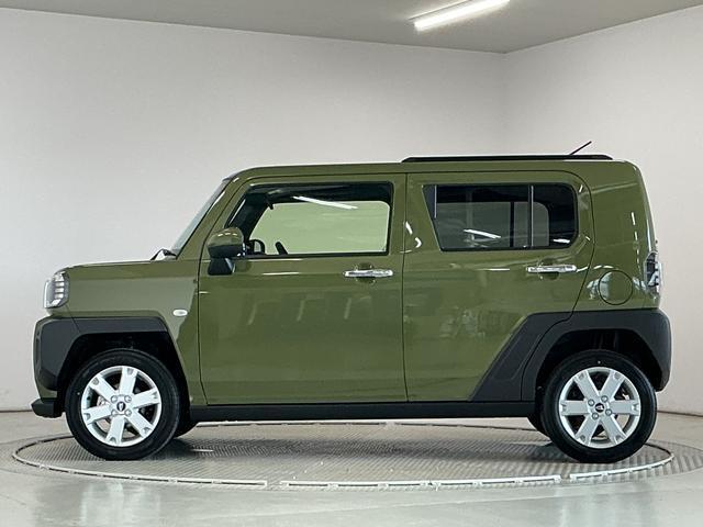 Daihatsu Taft 11