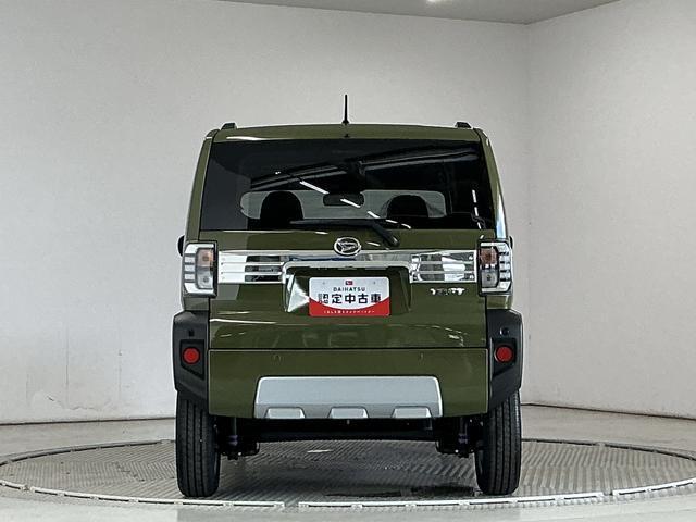 Daihatsu Taft 12
