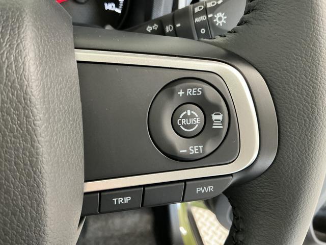 Daihatsu Taft 6