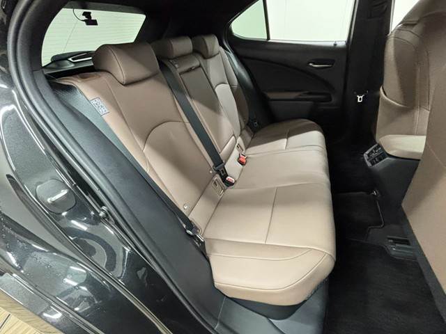 Lexus UX 12