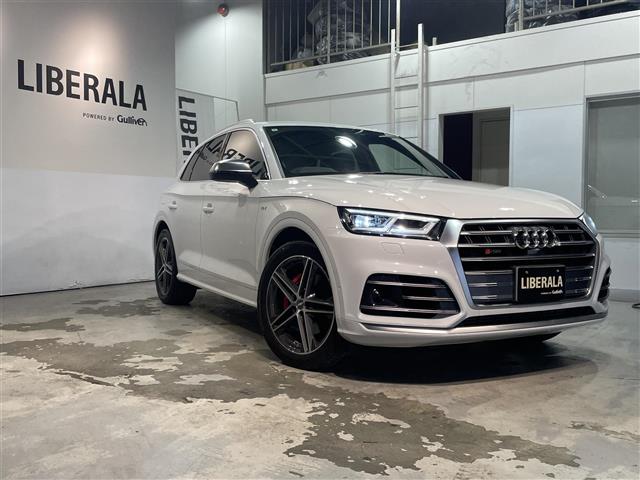Audi SQ5 12