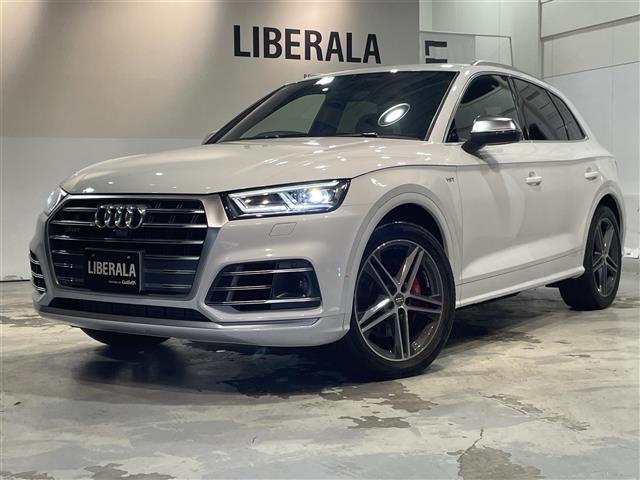 Audi SQ5 7