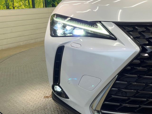 Lexus UX 12