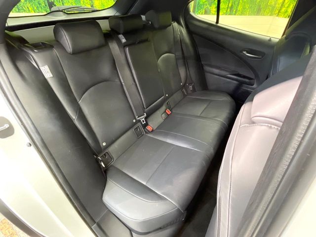 Lexus UX 9