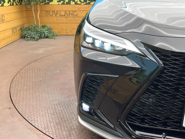 Lexus NX 12