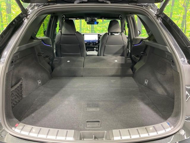 Lexus NX 11