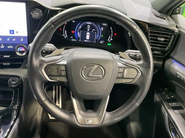 Lexus NX 12
