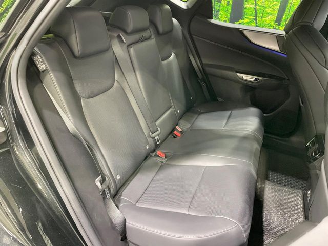 Lexus NX 10