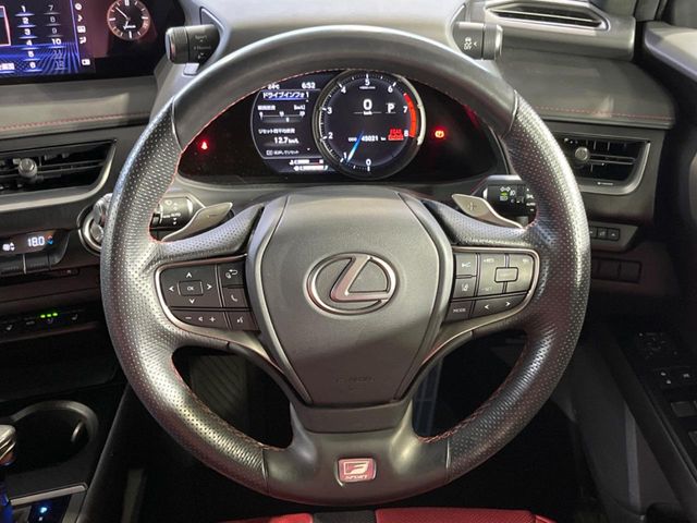 Lexus UX 12