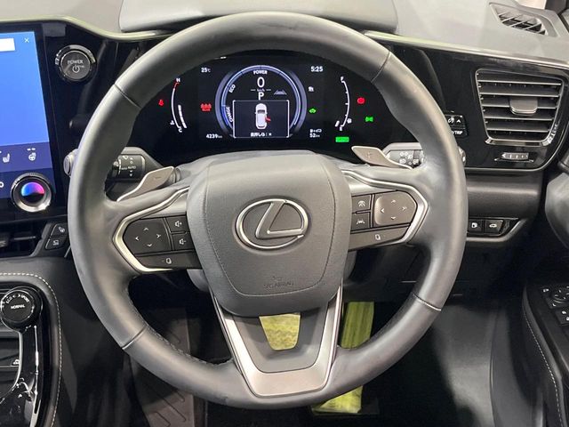 Lexus NX 11