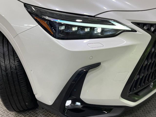 Lexus NX 12