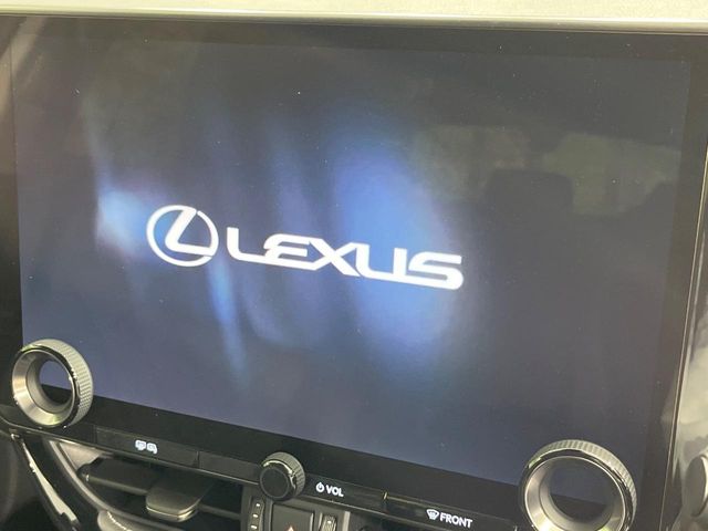 Lexus NX 4