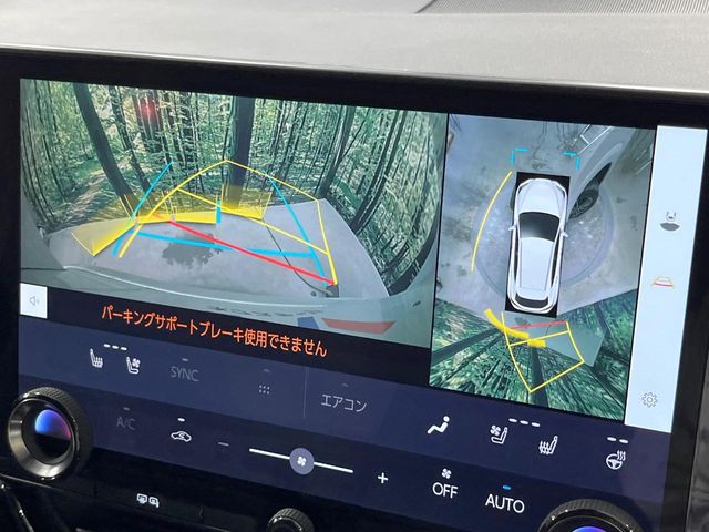 Lexus NX 5