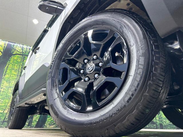 Toyota Land Cruiser FJ 12
