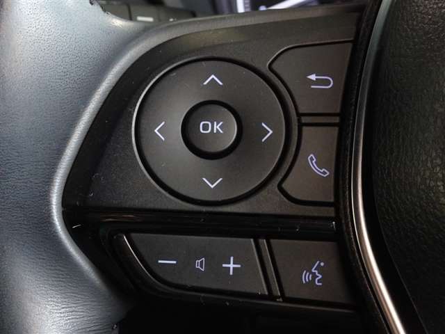 Toyota Harrier 11
