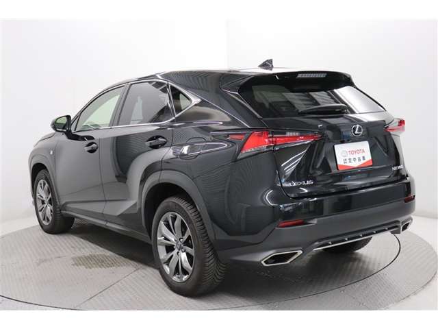 Lexus NX 7