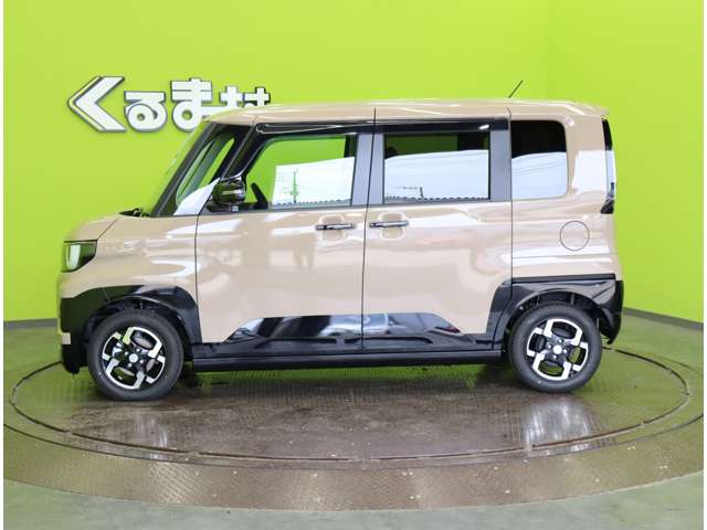 Mitsubishi Delica Mini 11