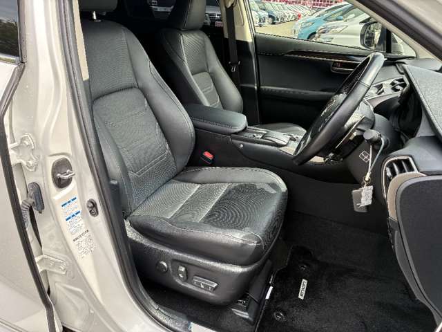 Lexus NX 12