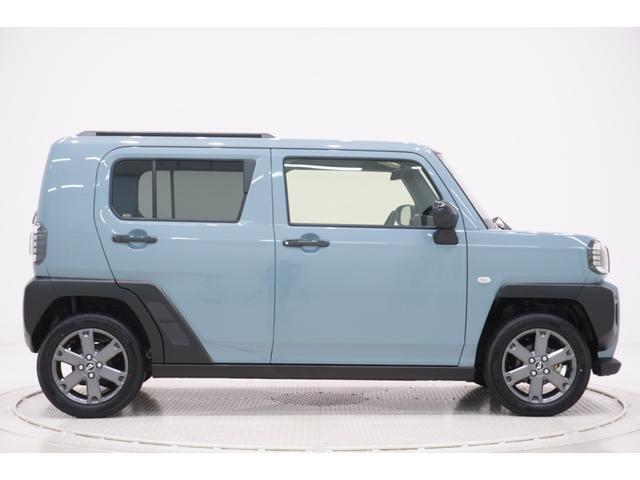 Daihatsu Taft 6