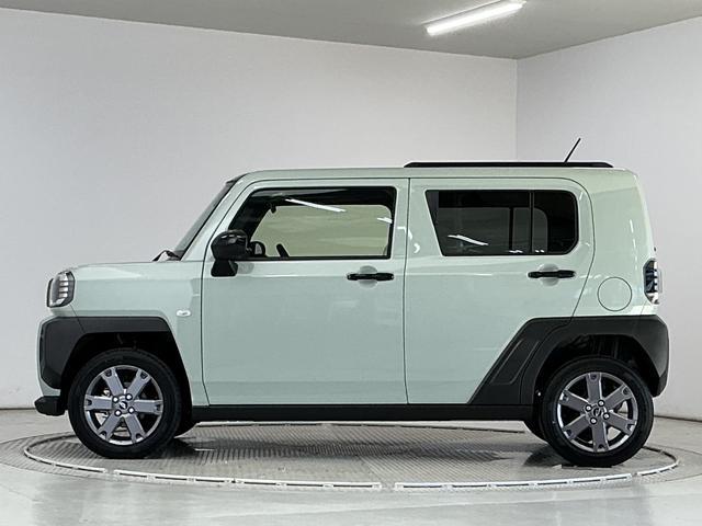 Daihatsu Taft 11