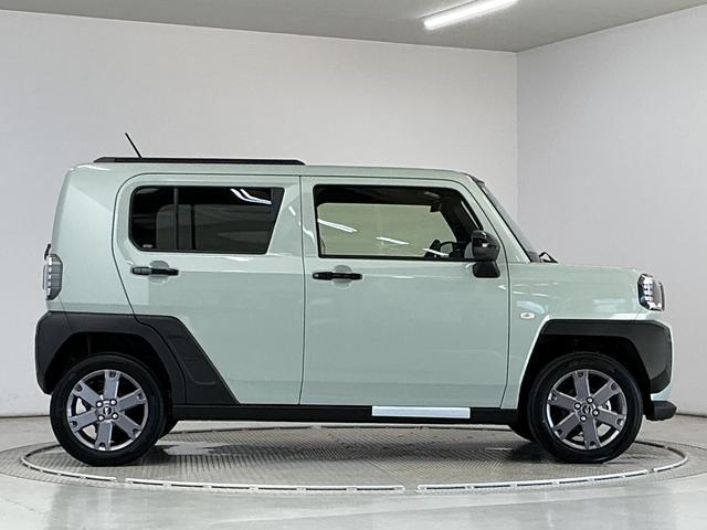 Daihatsu Taft 10