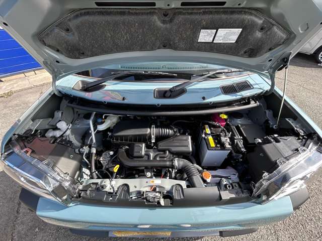 Daihatsu Taft 5