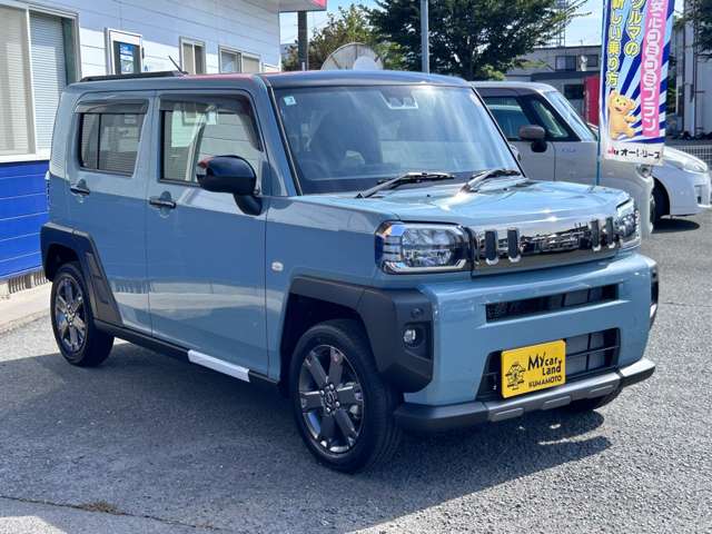 Daihatsu Taft 8