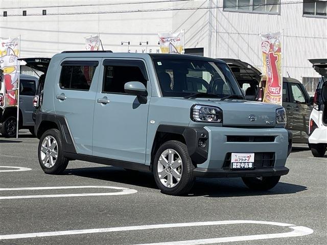 Daihatsu Taft 11