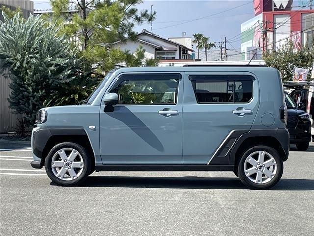 Daihatsu Taft 6