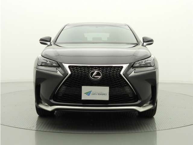 Lexus NX 6